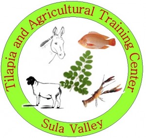 LOGO CENTRO DE CAPACITACION