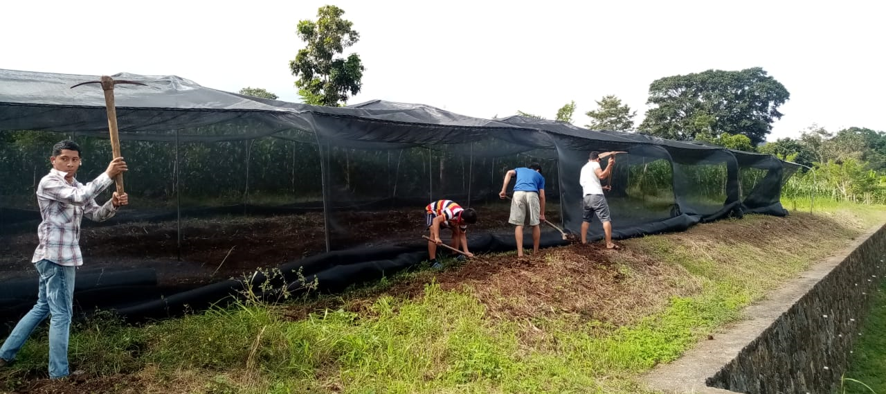 Greenhouse Project in Fundación AHLE (The Human Action Foundation of the Eternal Light (A.H.L.E) of San Francisco de Yojoa.